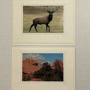 01 SET OF 12 Nature Photo Greeting Cards: elk, iguana, flowers, fox, desert